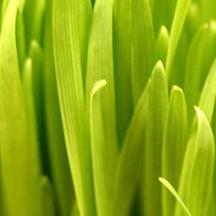 CC在线压力测试