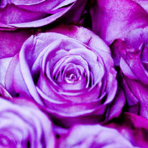 ddos压力测试平台